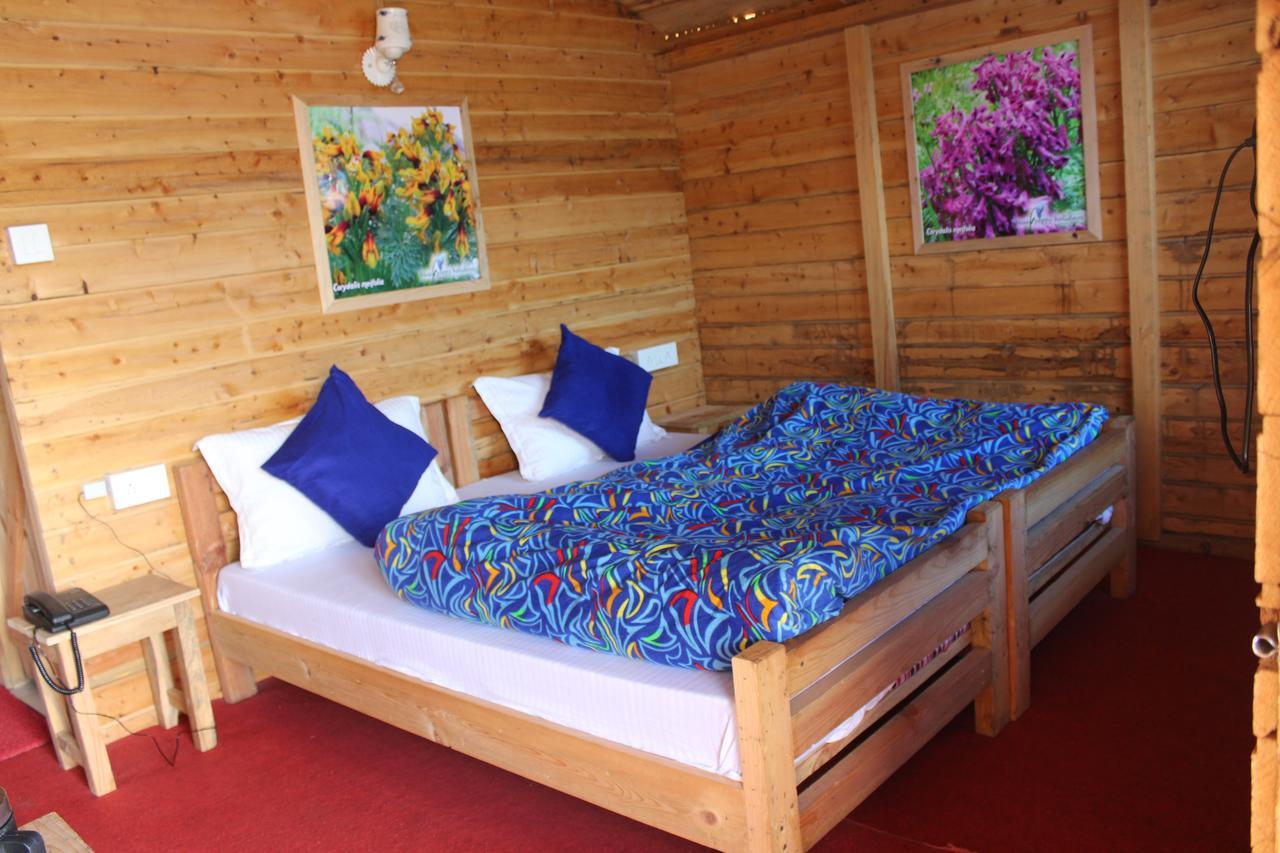 Blue Poppy Resorts Joshīmath エクステリア 写真
